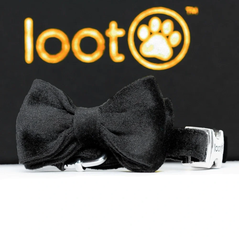 Black Velvet Cat Collar with Bow tie